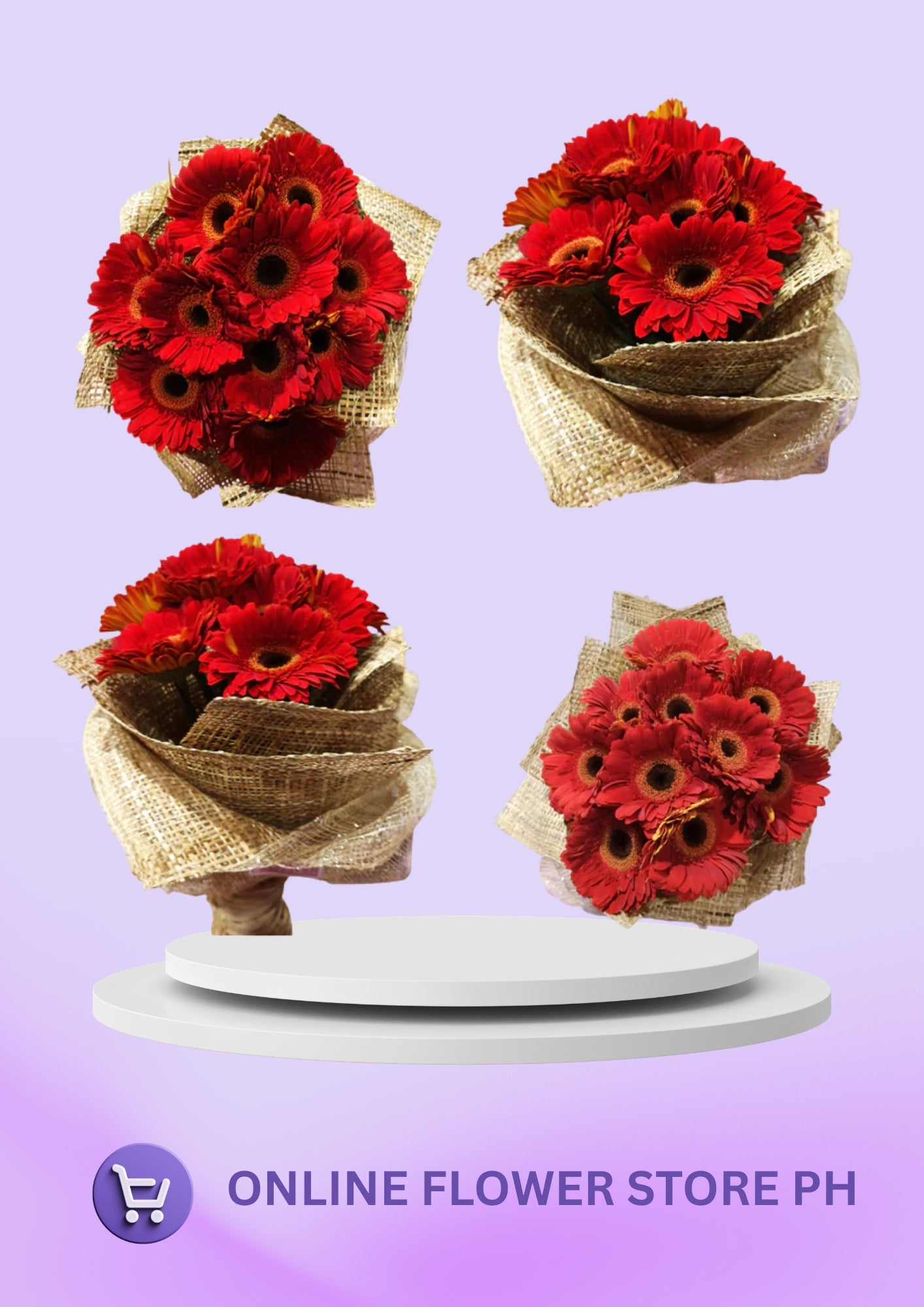Daisy - Red Gerbyy