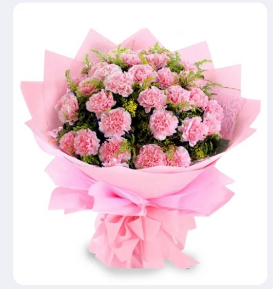 Carnation – 40 Stems For You Bouquet