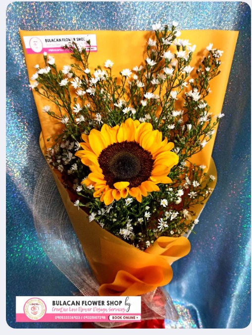SUNFLOWER - SINGLE - Warm sunshine