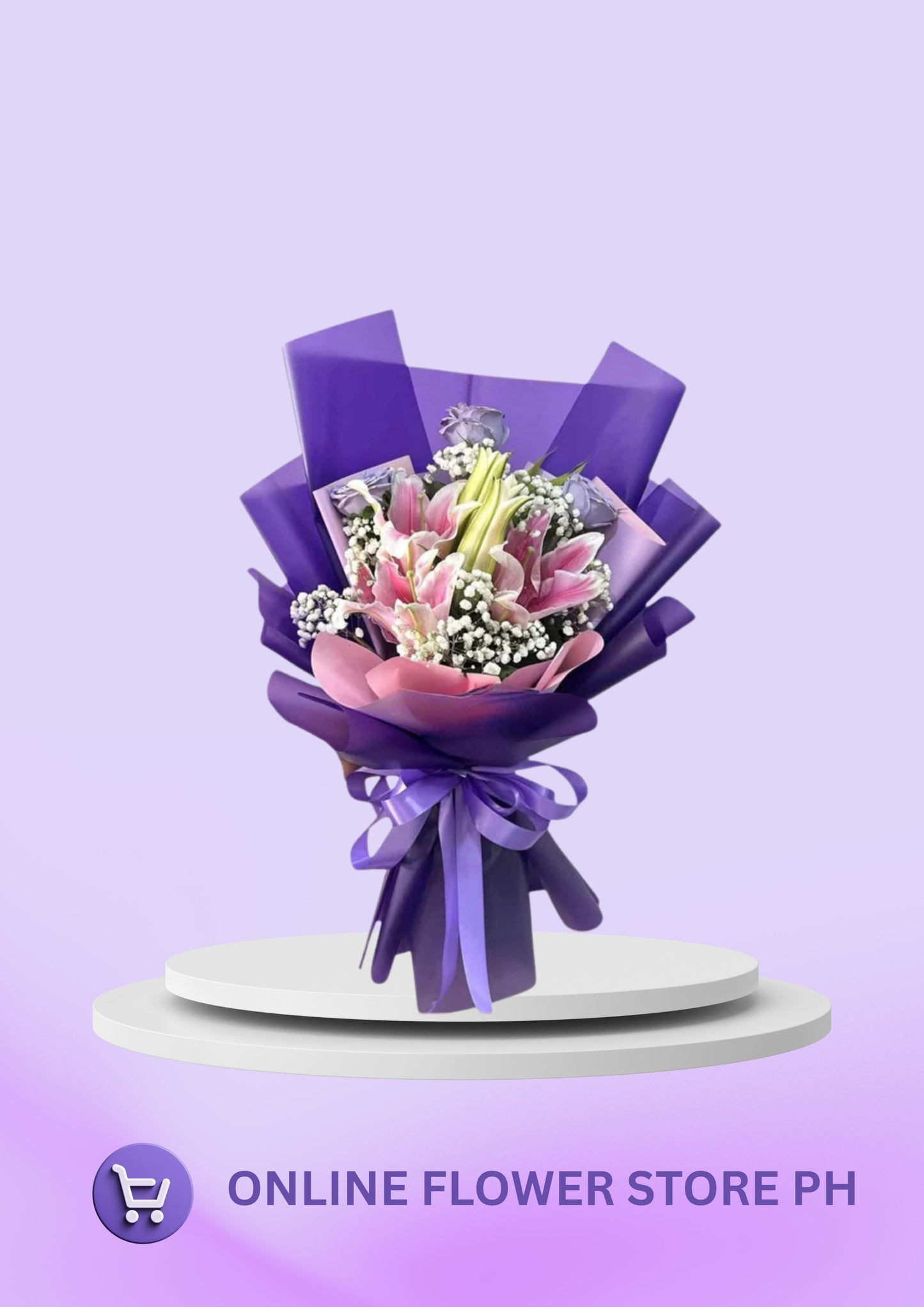 Stargazer - Purple Ours