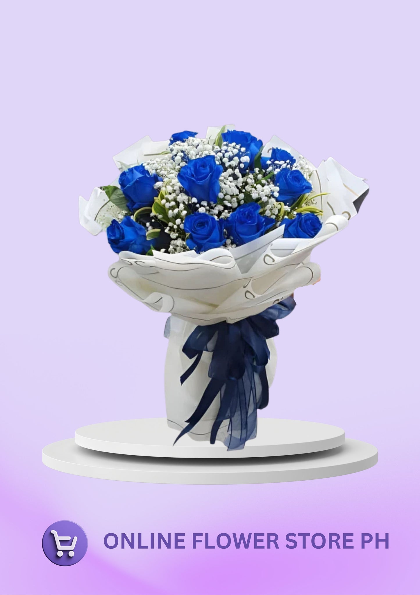 Imported Blue Enthusiatic (12)