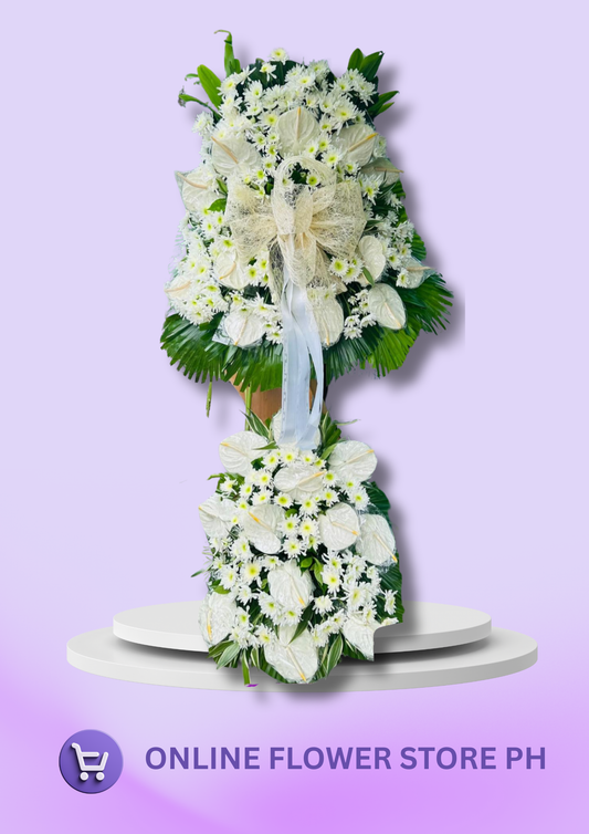 ST - Pure Heart Farewell