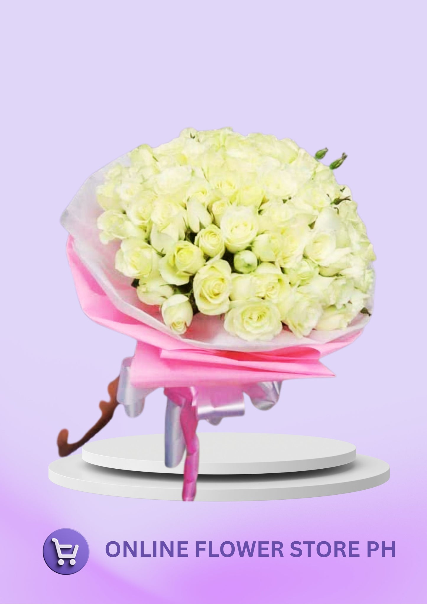 CB- 100 stems White rose