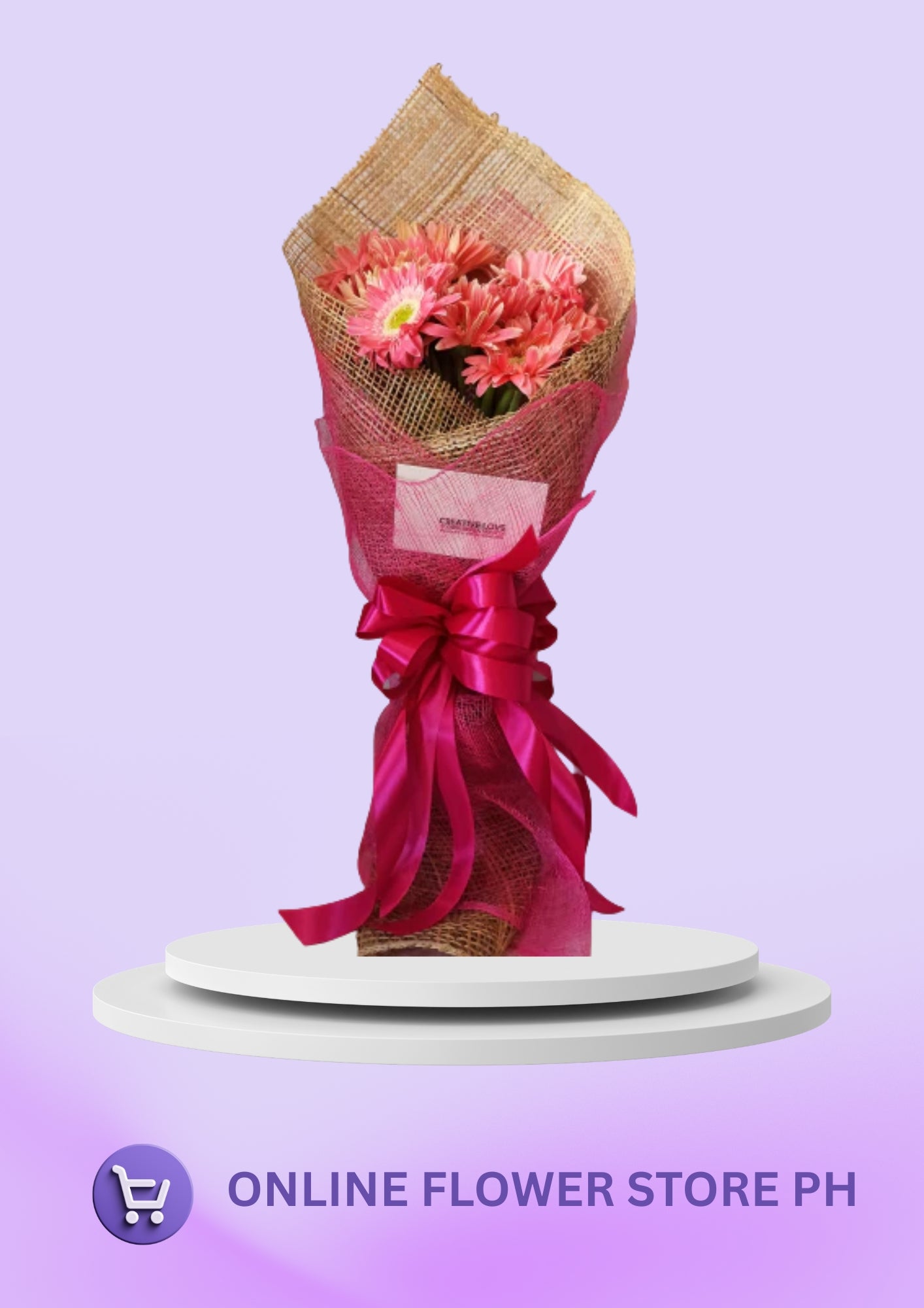 Daisy - Sweet Gesture