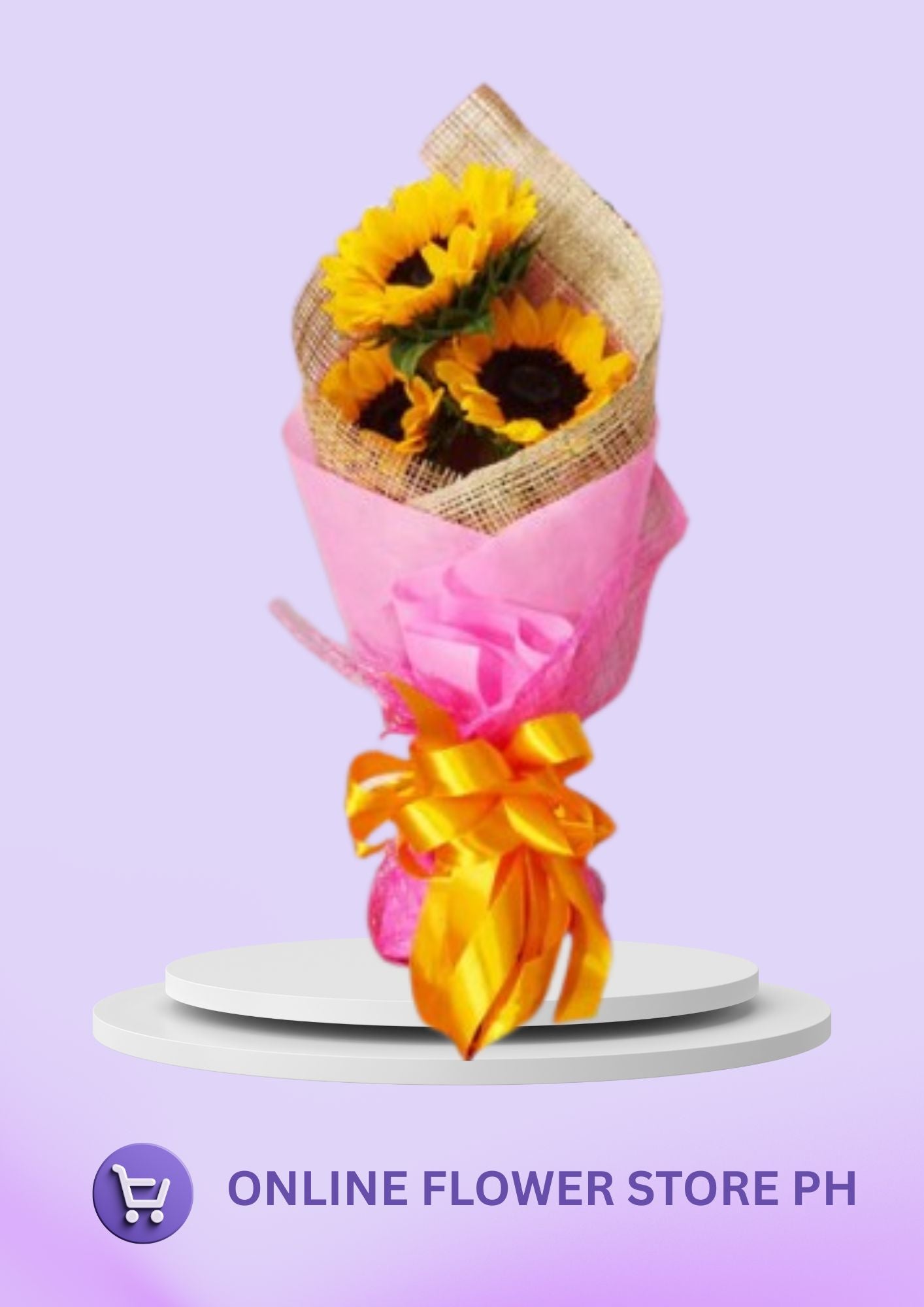 SUNFLOWER - 3 Pink and Warmy