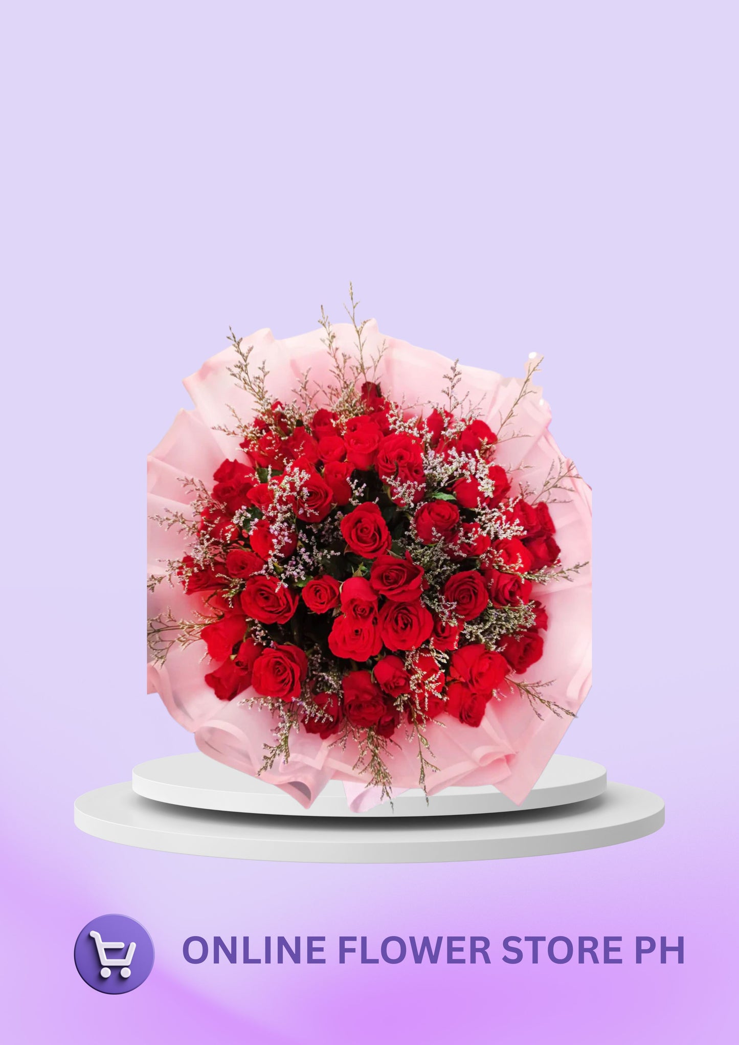 Giant - 5 dozen Red Sophisticated