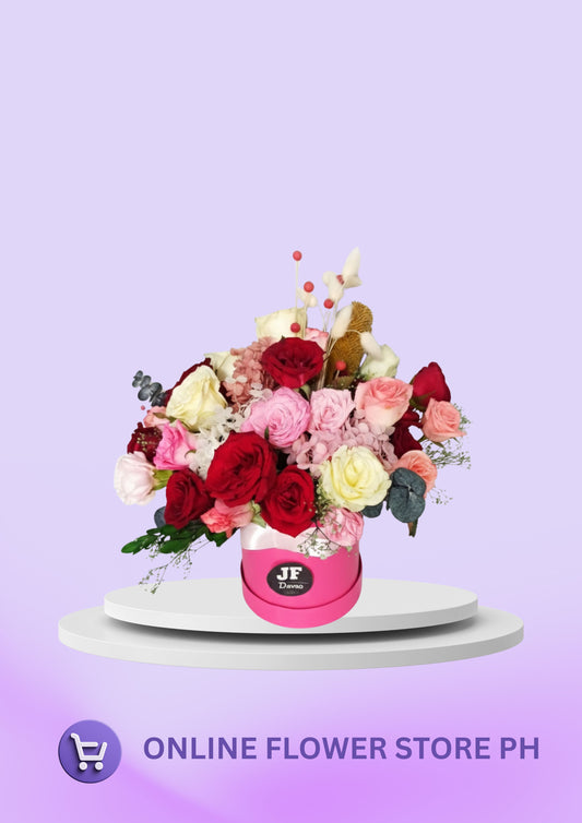 D- 24 Shades of Love in a Box