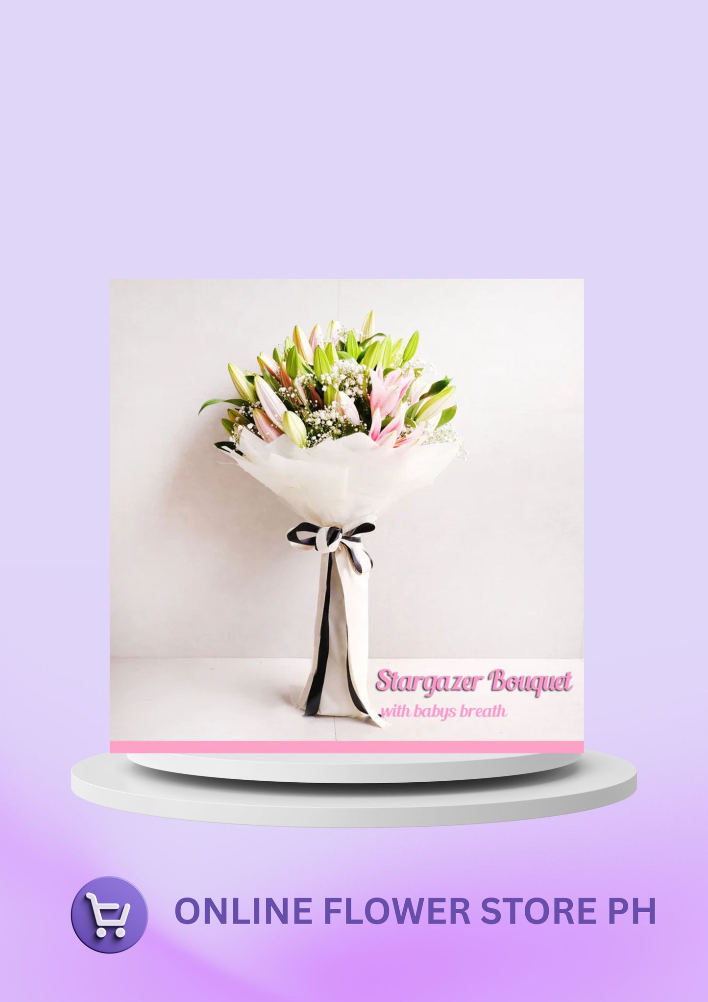 Stargazer for You