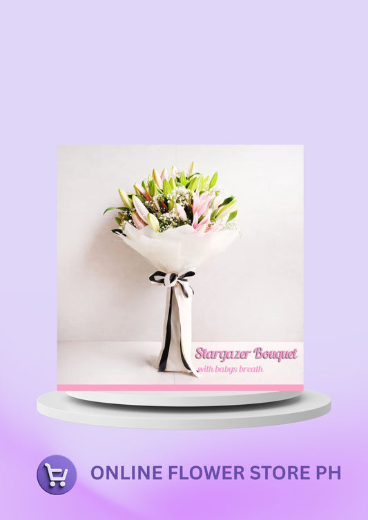 Stargazer for You