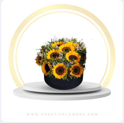 Sunflower – Warm Year Rounded (Black Box)