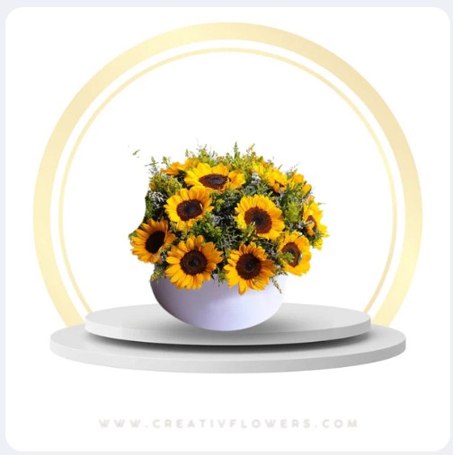Sunflower - Warm Year Rounded (12) white box