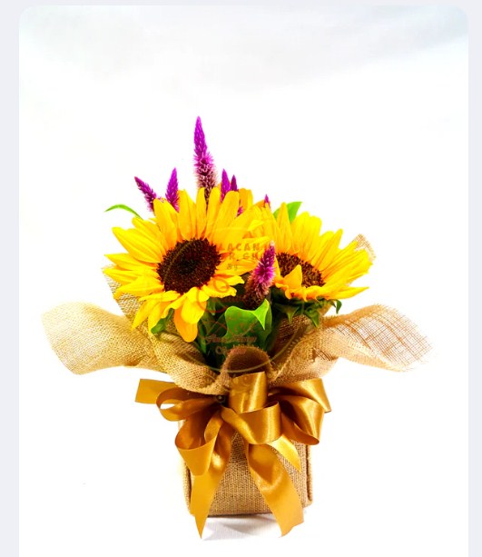 SUNFLOWER - Sunflower Vase – Trio Arrangement