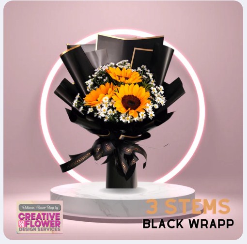 SUNFLOWER - 3 Warm and Black