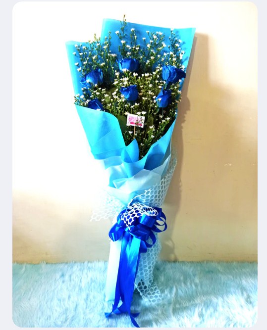 6 Blue you too