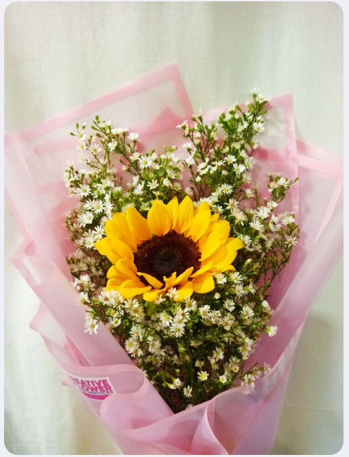 Sunflower - Single - Pink wrapp