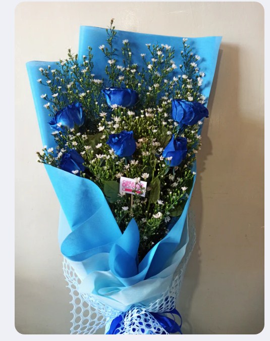 6 Blue you too