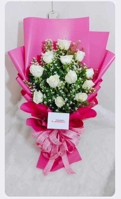 1 Dozen White on Pink
