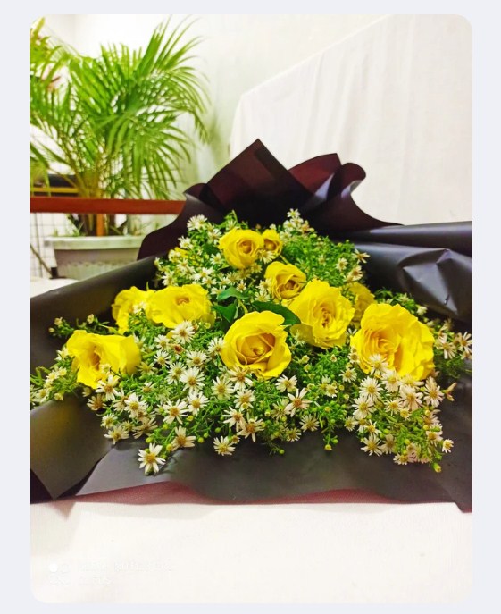 1 Dozen- Classic Yellow