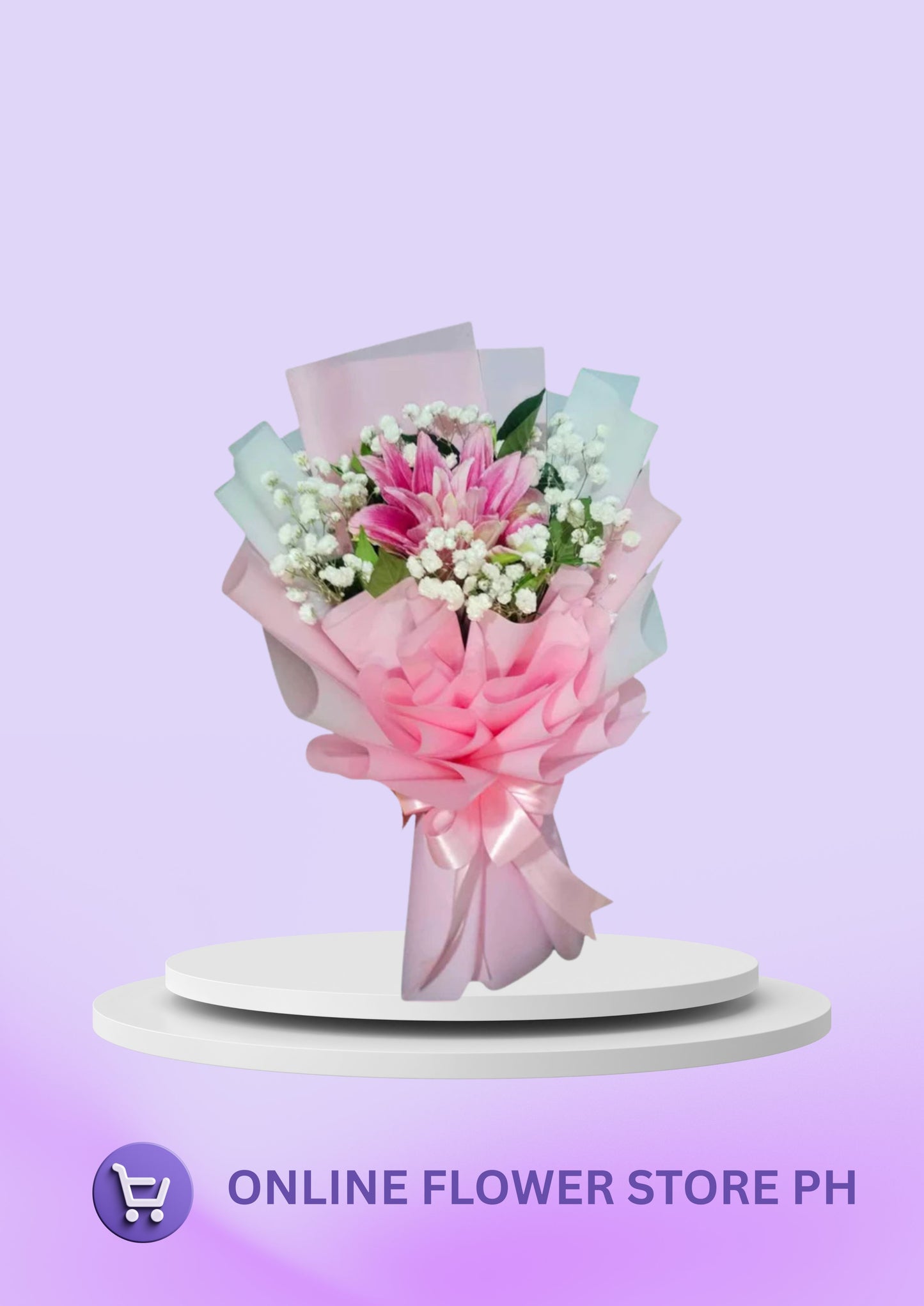 Stargazer Sweet Adeline