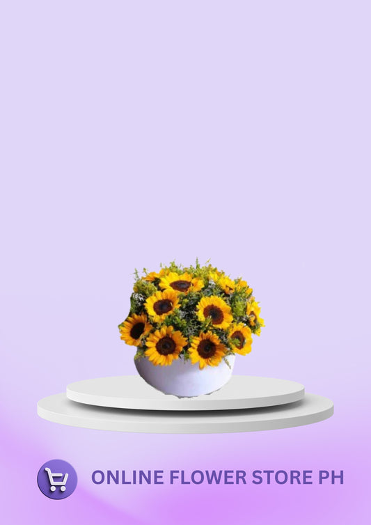 Sunflower - Warm Year Rounded (12) white box