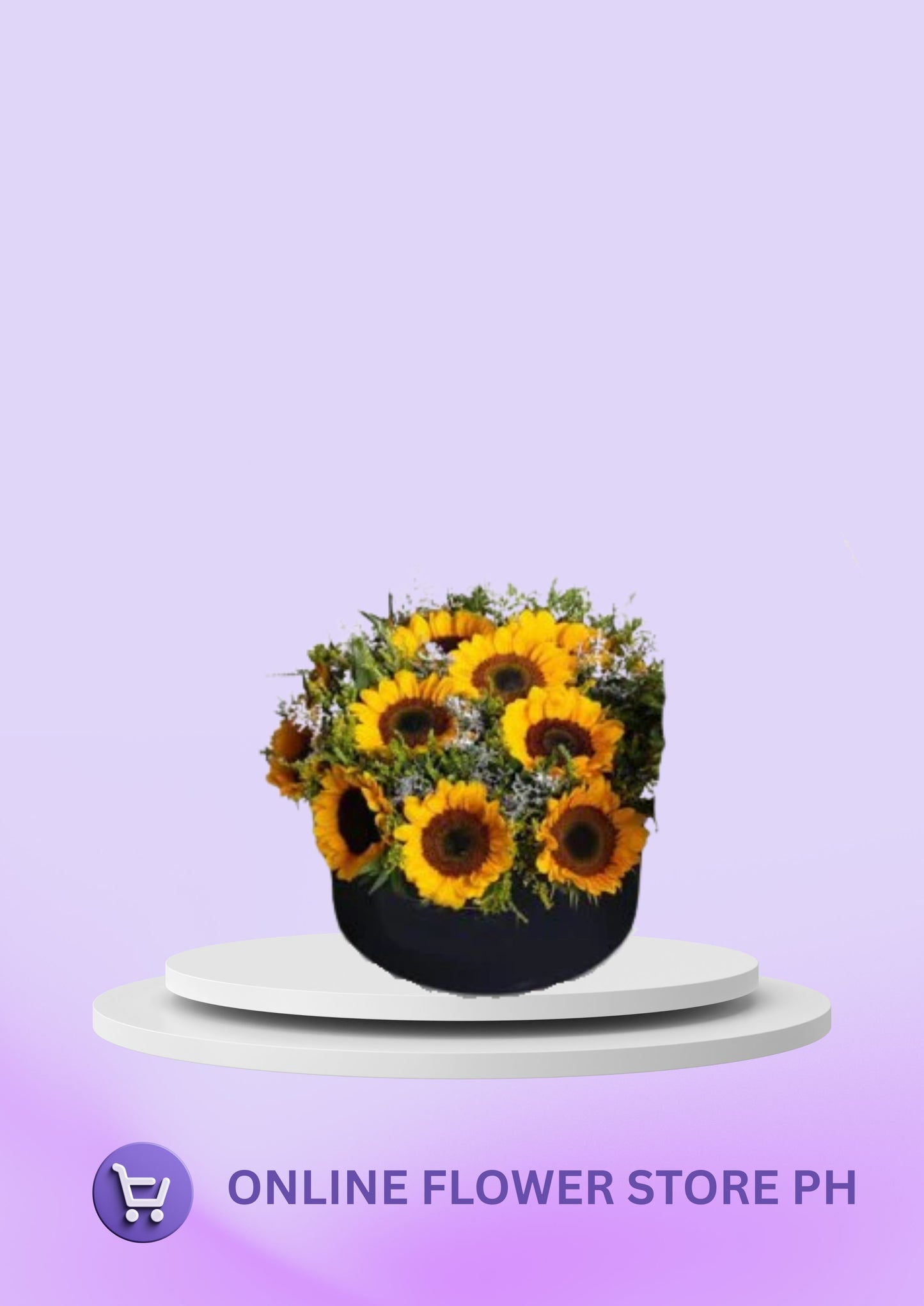 Sunflower – Warm Year Rounded (Black Box)