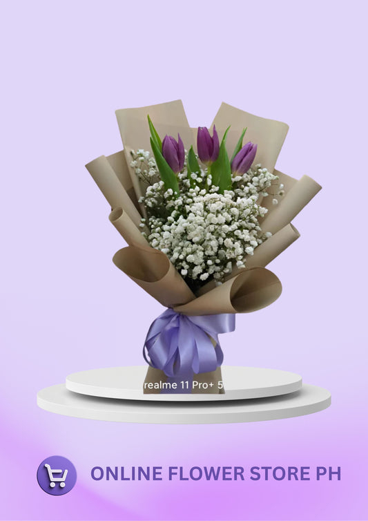 Tulips - Purple Mistica (3)