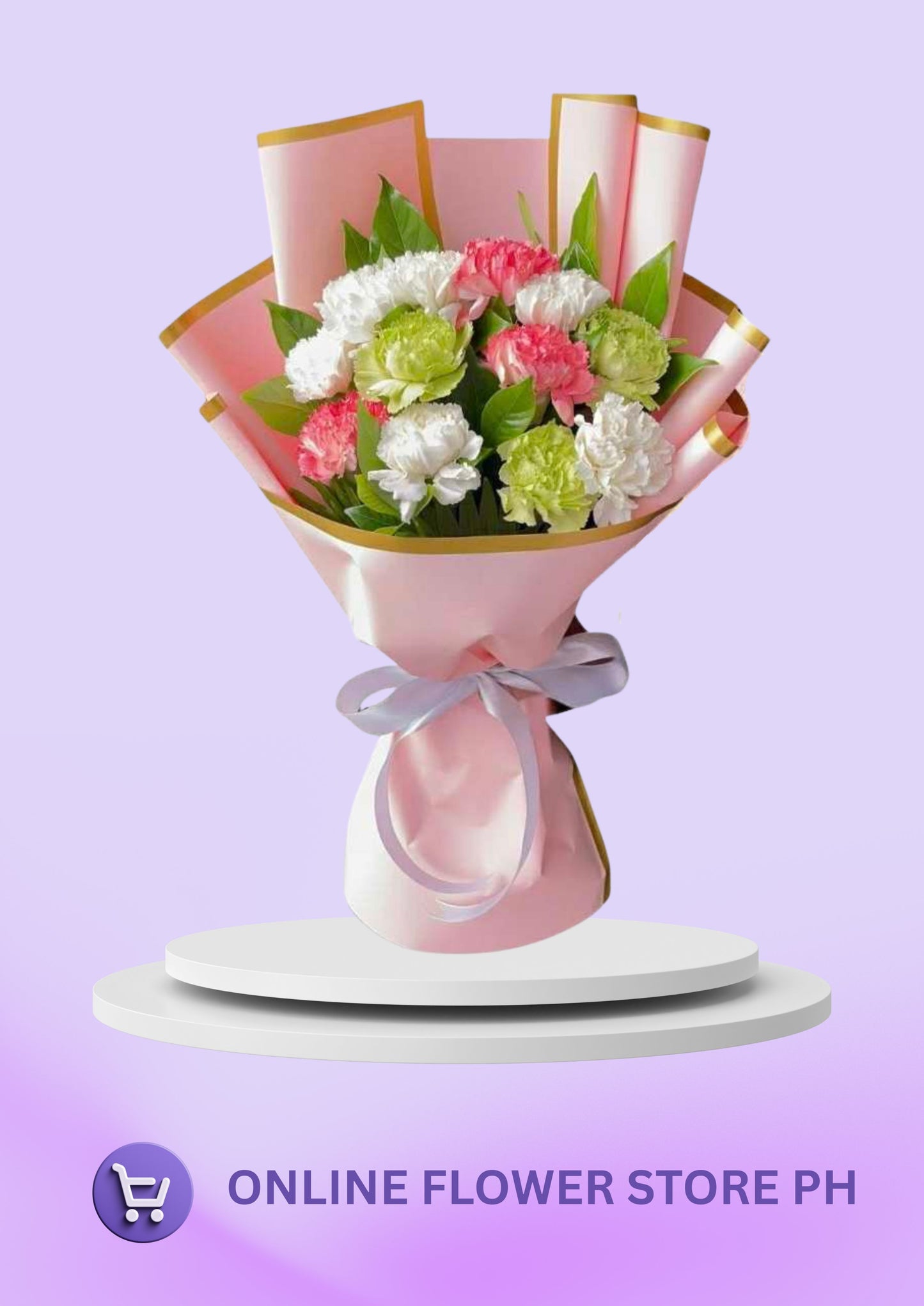 Carnation Color Harmony