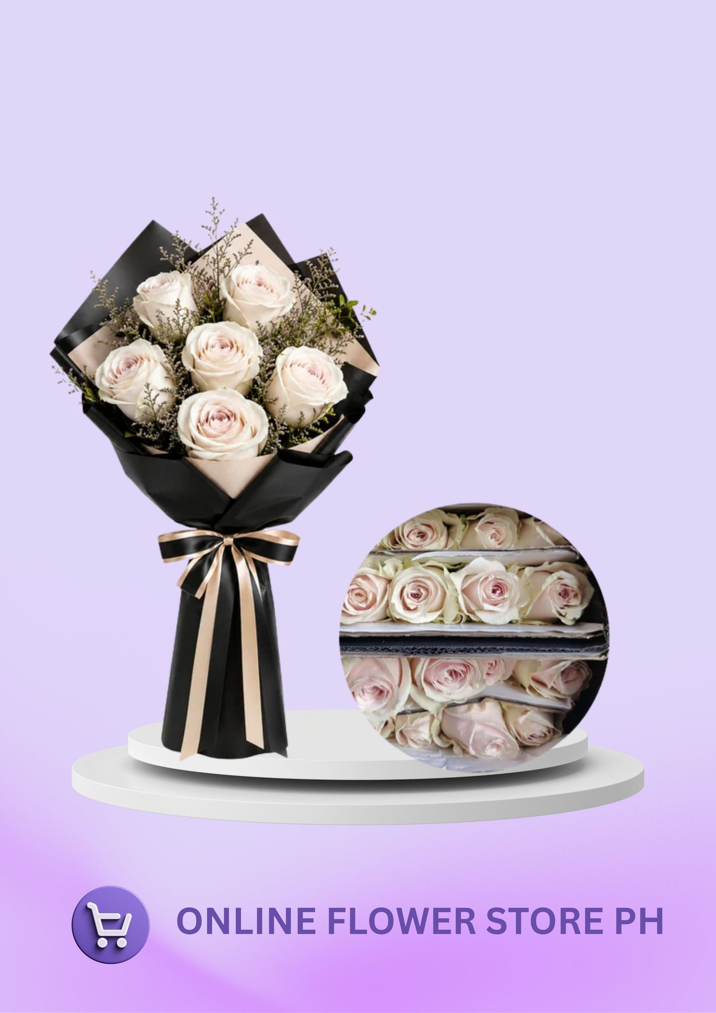 Imported - Beige Premiera (6)